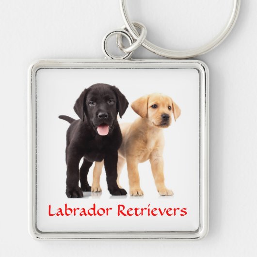 Labrador Retriever Puppies Premium Sleutelhanger (Voorkant)