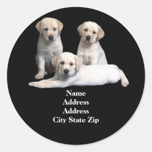 Labrador Retriever Puppy Adreslabel Ronde Sticker