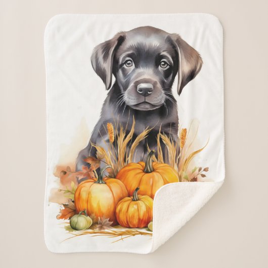 Labrador Retriever Puppy Autumn Pumpkins Hondenlie Sherpa Deken (Voorkant)