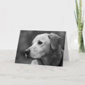 Labrador Retriever Puppy Blank Note Card Kaart (Voorkant)