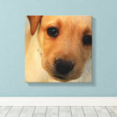 Labrador Retriever Puppy Canvas Print (Insitu (Houten vloer))