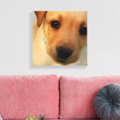 Labrador Retriever Puppy Canvas Print (Insitu (Woonkamer))