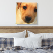 Labrador Retriever Puppy Canvas Print (Insitu (Slaapkamer))