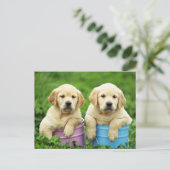 Labrador Retriever Puppy Dog Briefkaart (Staand voorkant)