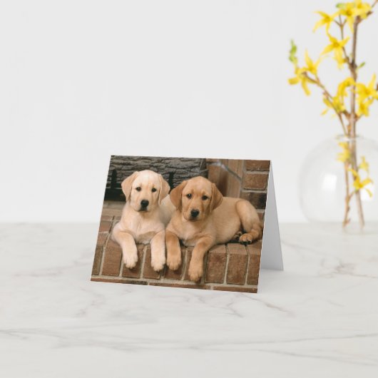 Labrador Retriever Puppy Dogs Note Kaart (Gele Bloem)