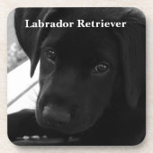Labrador Retriever Puppy Drankjes Onderzetter (Voorkant)