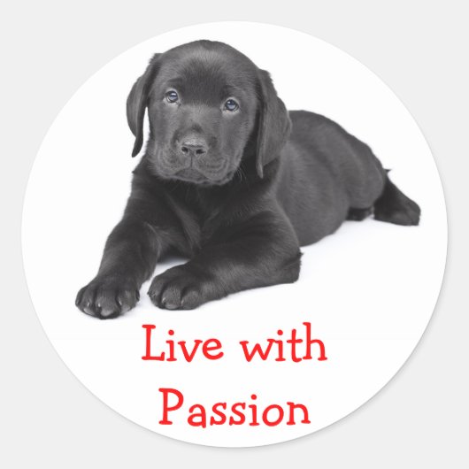 Labrador Retriever Puppy Live Met Passie Sticker (Voorkant)