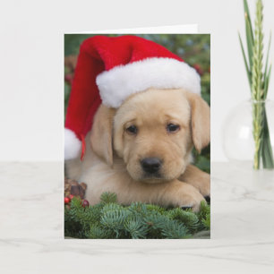 Labrador Retriever puppy met Santa Hat Feestdagen Kaart