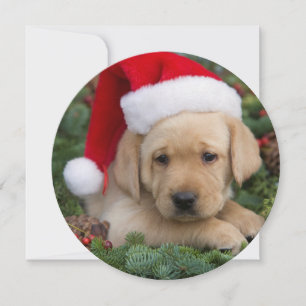 Labrador Retriever puppy met Santa Hat Feestdagenkaart