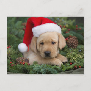 Labrador Retriever puppy met Santa Hat Feestdagenkaart