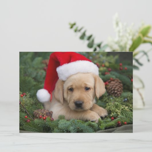 Labrador Retriever Puppy Met Sinterklaas Hoed Feestdagenkaart (Staand voorkant)