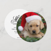 Labrador Retriever Puppy Met Sinterklaas Muts Feestdagenkaart (Voorkant / Achterkant)
