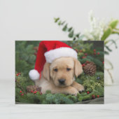 Labrador Retriever Puppy Met Sinterklaas Muts Feestdagenkaart (Staand voorkant)