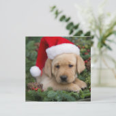 Labrador Retriever Puppy Met Sinterklaas Muts Feestdagenkaart (Staand voorkant)
