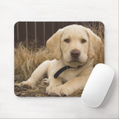 Labrador Retriever puppy Muismat (Met muis)