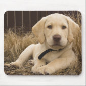 Labrador Retriever puppy Muismat (Voorkant)