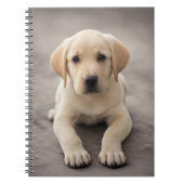Labrador Retriever Puppy Notitieboek (Voorkant)