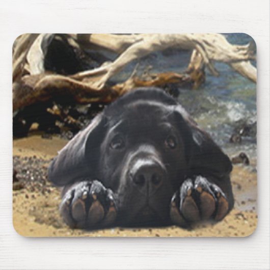 Labrador Retriever puppy op strand Mousepad Muismat (Voorkant)