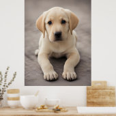 Labrador Retriever Puppy Poster (Keuken)
