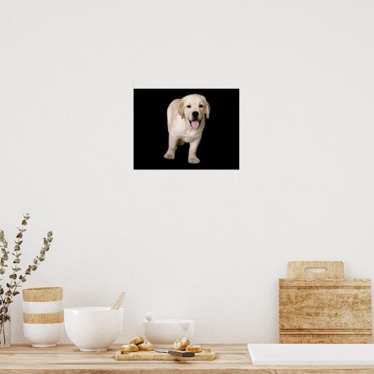 Labrador Retriever Puppy Print (Keuken)