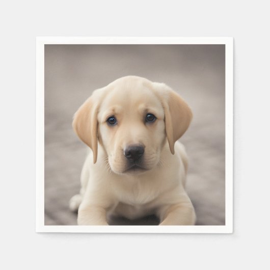 Labrador Retriever Puppy Servet (Voorkant)