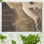 Labrador Retriever puppy Theedoek (Gevouwen)