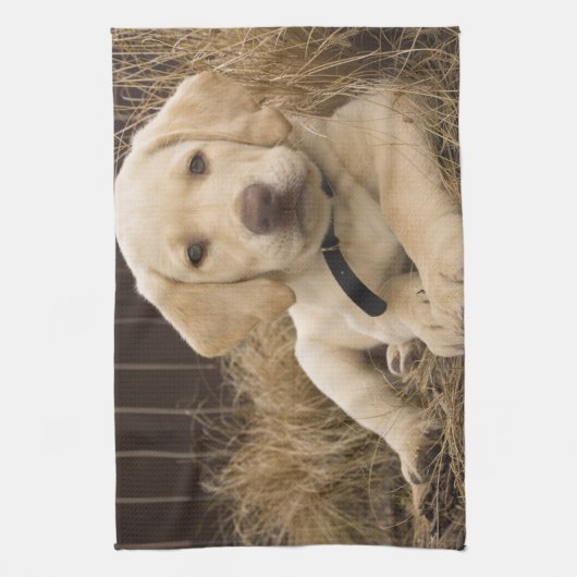 Labrador Retriever puppy Theedoek (Verticaal)