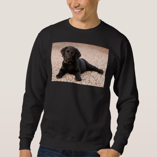Labrador Retriever Puppy Trui (Voorkant)