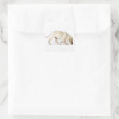 Labrador Retriever Puppy Walking Vierkante Sticker (Tas)