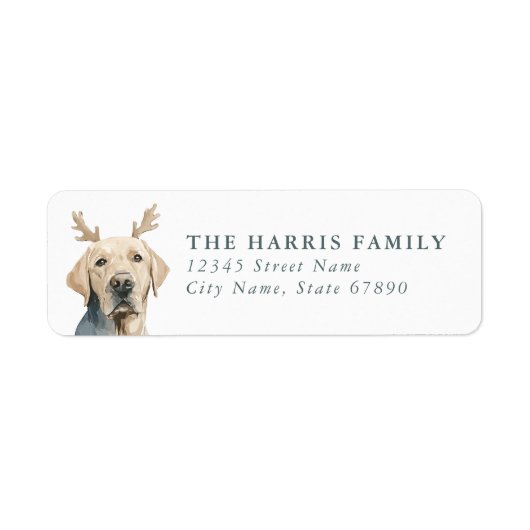 Labrador Retriever Retouradreslabels Etiket (Voorkant)