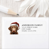 Labrador Retriever Retouradreslabels Etiket (Insitu)
