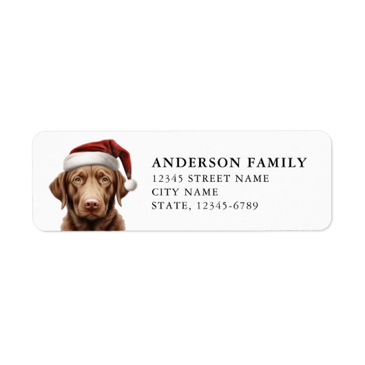 Labrador Retriever Retouradreslabels Etiket (Voorkant)