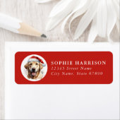 Labrador Retriever Return Address Labels (Insitu)
