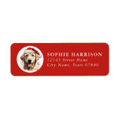 Labrador Retriever Return Address Labels (Voorkant)