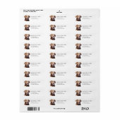 Labrador Retriever Return Address Labels (Full Sheet)