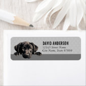 Labrador Retriever Return Address Labels (Insitu)
