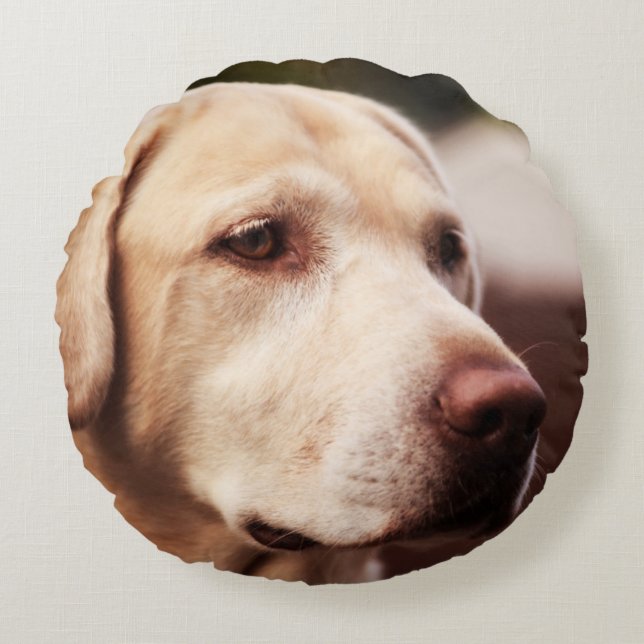 Labrador Retriever Rond Kussen (Voorkant)