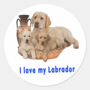 Labrador Retriever Ronde Sticker