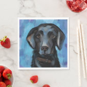 Labrador Retriever  Servet (Insitu)