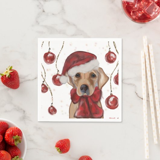 Labrador Retriever  Servet (Insitu)