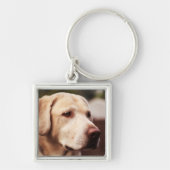 Labrador Retriever Sleutelhanger (Voorkant)