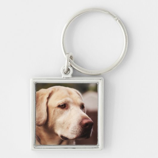 Labrador Retriever Sleutelhanger (Voorkant)
