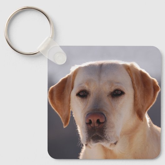 Labrador Retriever Sleutelhanger (Voorkant)