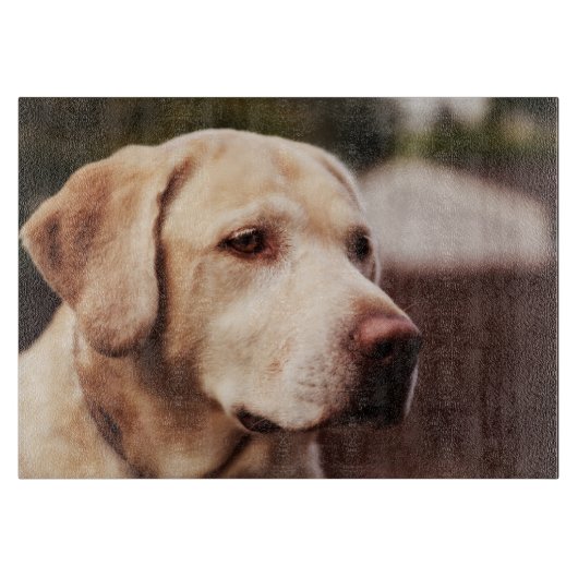 Labrador Retriever Snijplank (Voorkant)