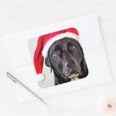 Labrador Retriever Square Sticker (Envelop)