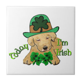 Labrador Retriever St Pattys Tegeltje
