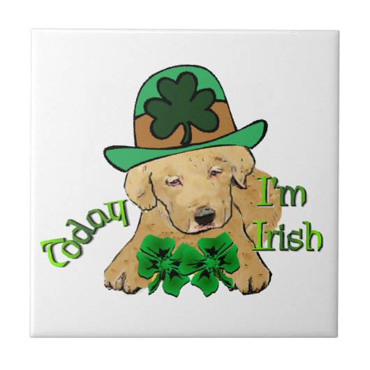 Labrador Retriever St Pattys Tegeltje (Voorkant)