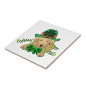 Labrador Retriever St Pattys Tegeltje (Zijkant)