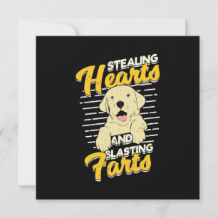 Labrador Retriever steelt harten Kaart
