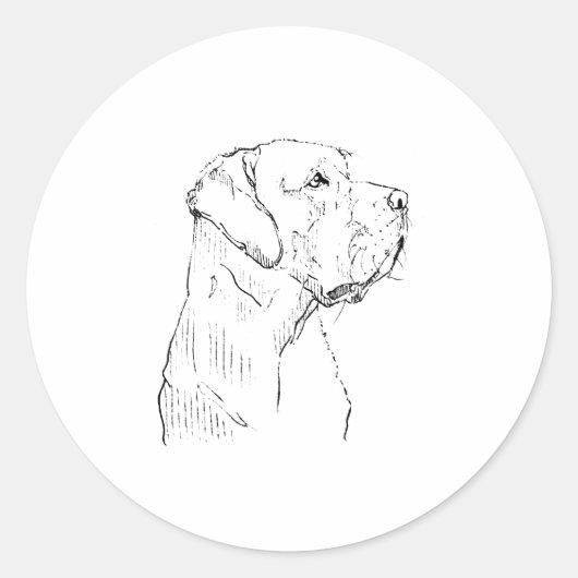 Labrador Retriever Sticker (Voorkant)